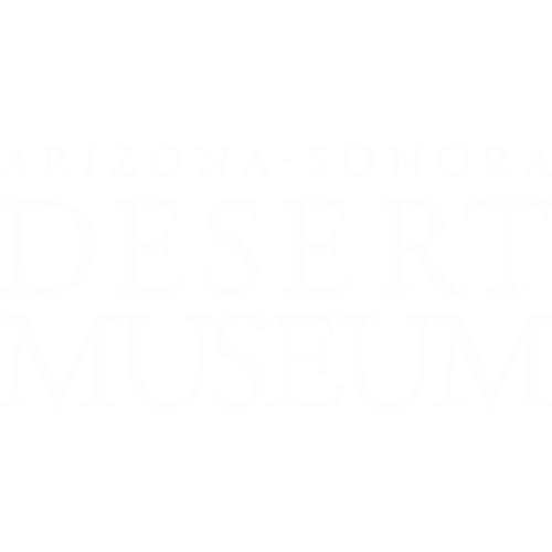 Family membership to the Desert Museum