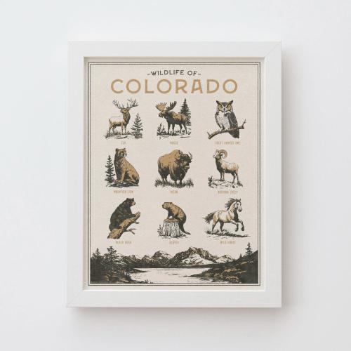 Colorado Wildlife Wall Art Print