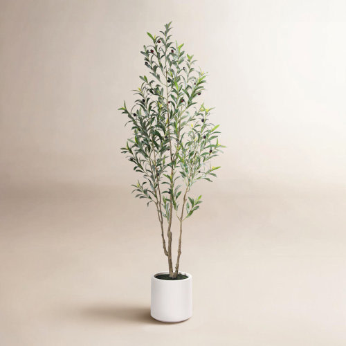 AllModern Altman Faux Olive Tree in White Planter, Lifelike Fake Olive Plant for Indoor and Outdoor Decor & Reviews | Wayfair