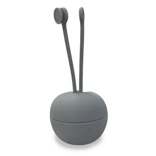 Soother Case