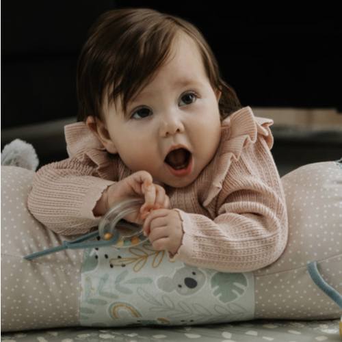 Animal Adventures Tummy Time Pillow