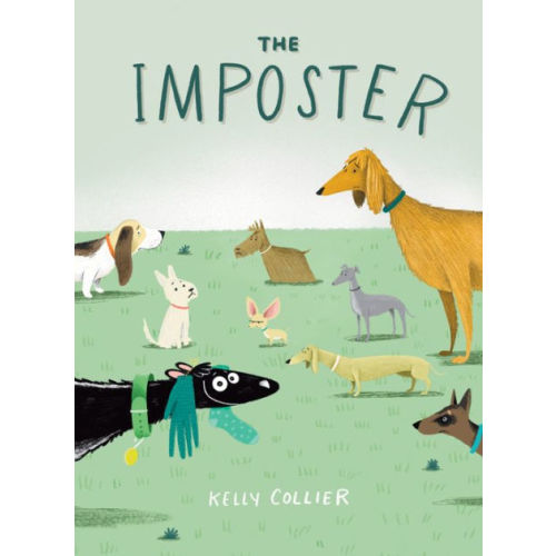 The Imposter by Kelly Collier, Hardcover | Barnes & Noble®