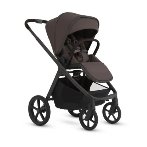 Group Gift: Stroller Fund