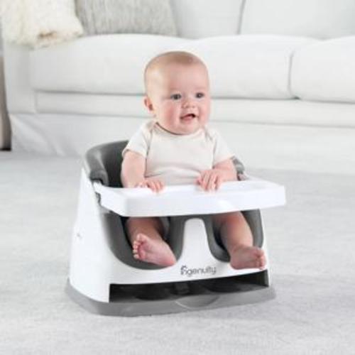 Ingenuity Baby Base 2-in-1 (seat)