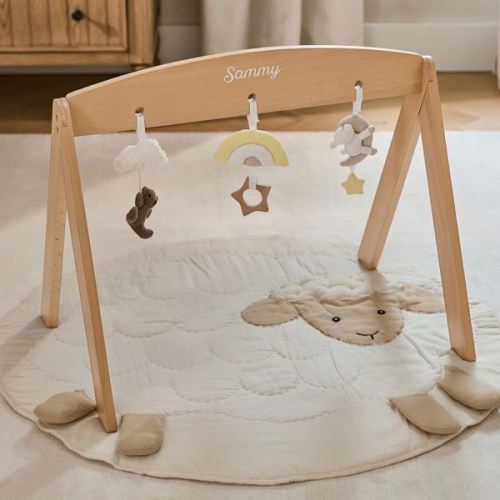 Wooden Activity Gym Arm