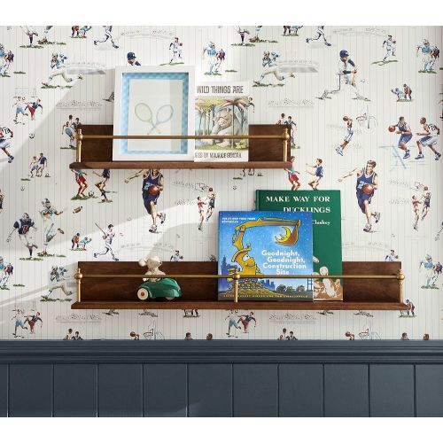 Rail Shelf (24")
