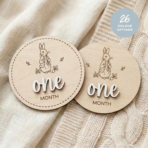 Custom Peter Rabbit Milestone Discs | 26 Hand-Painted Colours