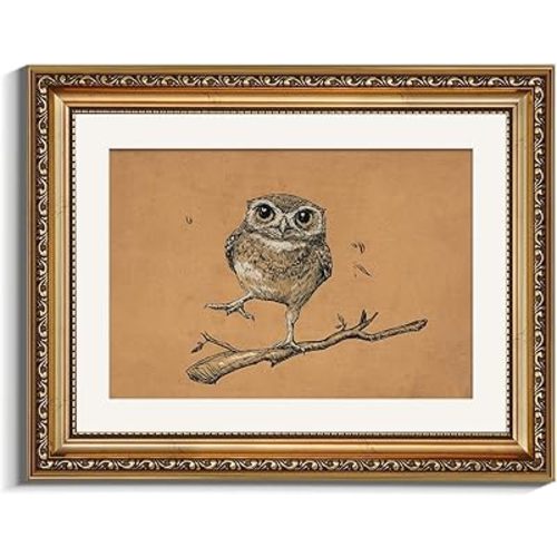 VIYYIEA Gold Framed Canvas Wall Art, Owl Art Print illustration, Farmhouse Country Decor, Cute Vintage Owl Bird Decor for Living Reading Room Hallway Bedroom Office Shelf, 11x14 Inch