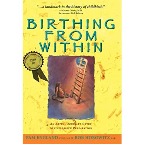 Birthing from Within: An Extra-Ordinary Guide to Childbirth Preparation