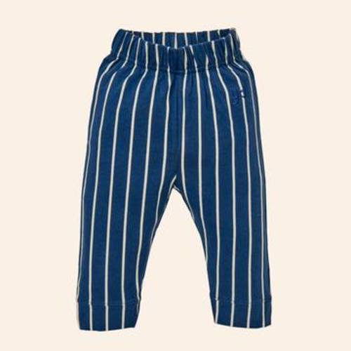 City Pants - Young Days