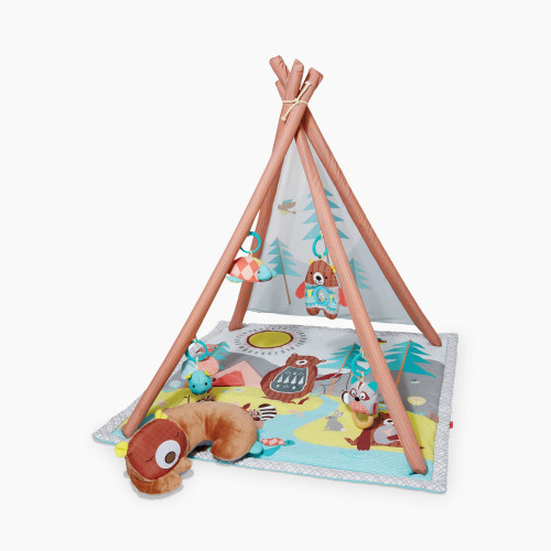 Skip Hop Camping Cubs Activity Gym