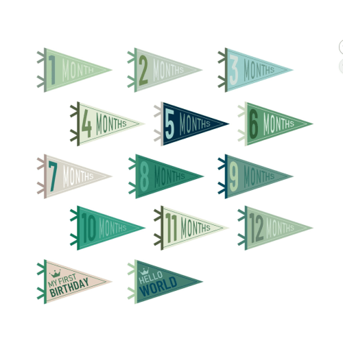 14 Pcs Baby Milestone Pennant Signs Monthly Milestone Banner Flags Pennant Triangle Banner Age Flag Signs for Boy Girl Newborn Birthday Party Decor (Morandi)
