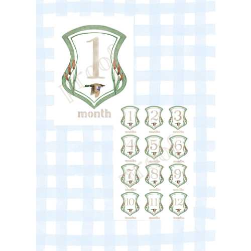 Paper Watercolor Milestone Cards | Duck Hunter | Mallard | Classic | Gift | New Mom | Baby Boy Milestone | Baby Shower | Baby Month Cards