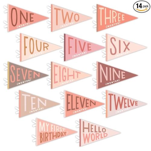 Lucy Darling Petit Milestone Pennants – Baby Monthly Milestone Pennant Flags – Newborn Photo Props & Felt Nursery Decor – Keepsake Banner Set for Baby Photos - Blushing Meadow