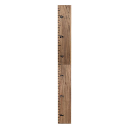 Harriet Bee Valleywood Growth Chart Graphic Art on Canvas & Reviews | Wayfair