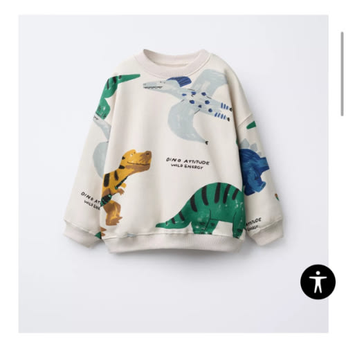 DINOSAUR PRINT SWEATSHIRT - Ice | ZARA United States
