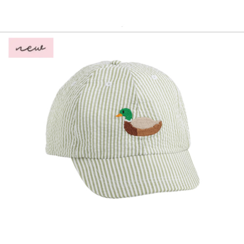 Duck Hat