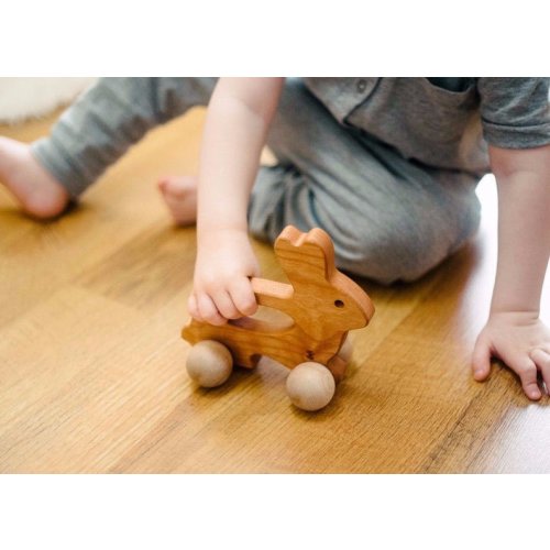 Wooden Bunny Push Toy - Bannor Toys