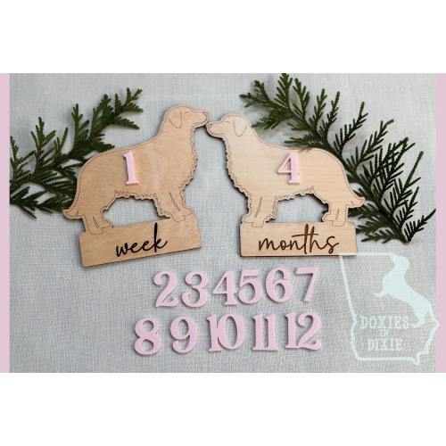 Interchangeable Baby Monthly Milestone Set, Golden Retriever Markers, Wood Age Plaques for Photo Props, Dog Nursey, Baby Shower Gift