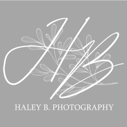 Newborn Photoshoot by Haley B. Photography