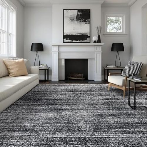 Black and White Rug for Room Abstract Modern Boho Soft Washable Rugs 5x7