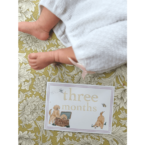 Whimsical Animal Milestone Cards
