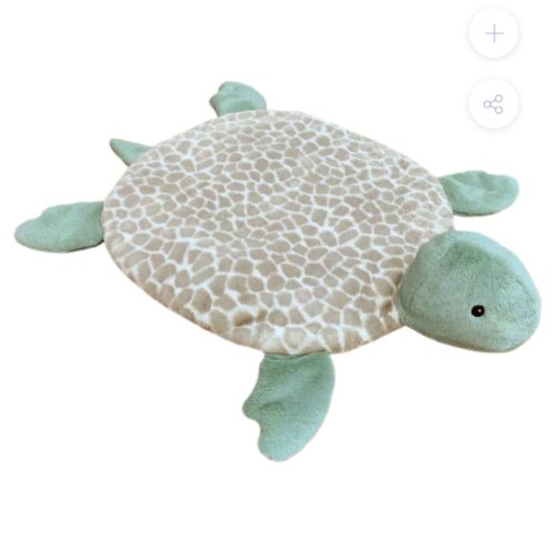 Taylor the Turtle Play Mat