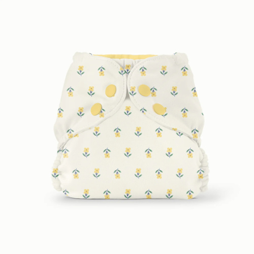 Outer–FW Buds / One