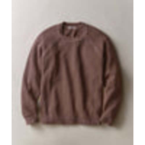 Noah Rollneck Sweater