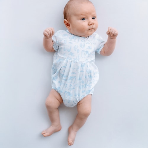 Wild West Toile Bubble - Light Blue