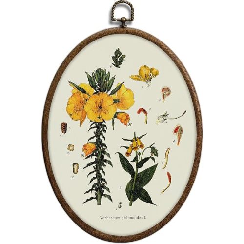 Vintage Boho Floral Oval Wall Art, Vintage Yellow Botanical Oval Framed Wall Art, Waterproof Cottage Core Home Decor for Western Farmhouse Bedroom Living Room, Home Retro Decor Products, 09