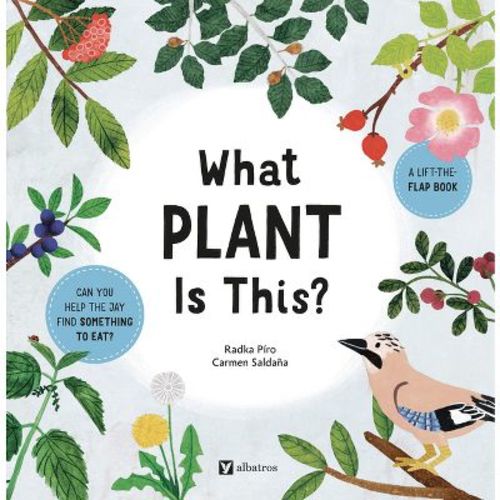 What Plant Is This? - (Stories from Nature) by Radka Piro (Board Book)