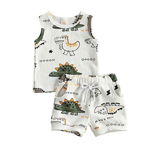 Ledy Champswiin Toddler Boy Clothes Baby Summer Outfit Dinosaur Letter Print Cotton Tops+Grey Elastic Shorts 2pcs