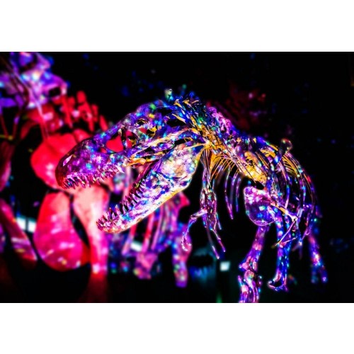 Gift of Membership — Perot Museum of Nature and Science