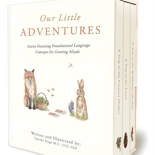 Our Little Adventures: Stories Featuring Foundational Language Concepts for Growing Minds (Our Little Adventures Series)