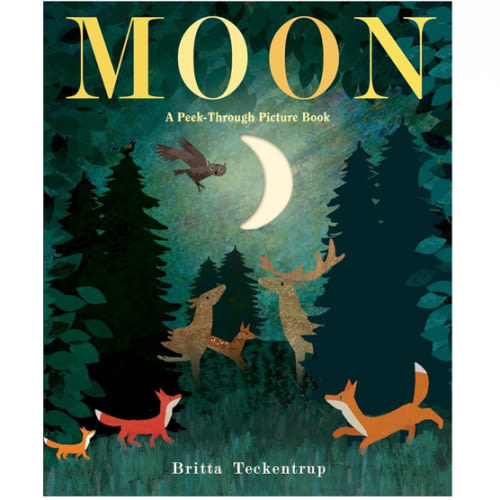 Moon: A Peek-Through Picture Book