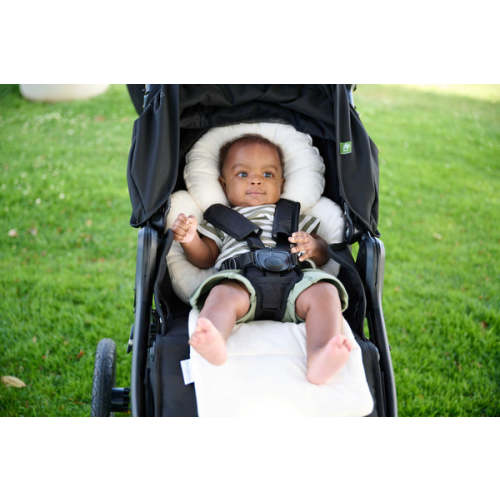 Organic Cotton Infant Insert