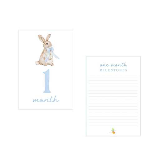 Bunny Baby Milestone Cards | Baby Monthly Milestone Cards | Baby Milestone Picture Cards | Lemon Grace Baby Cards | Newborn MIL-3---