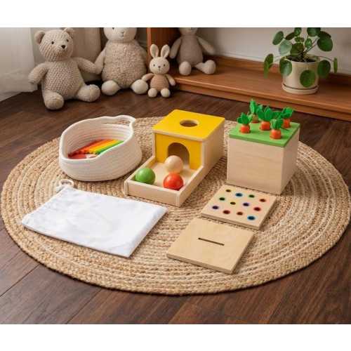 Montessori Baby Toy Set Wooden Color Sorting Object Permanence Toddler Gift