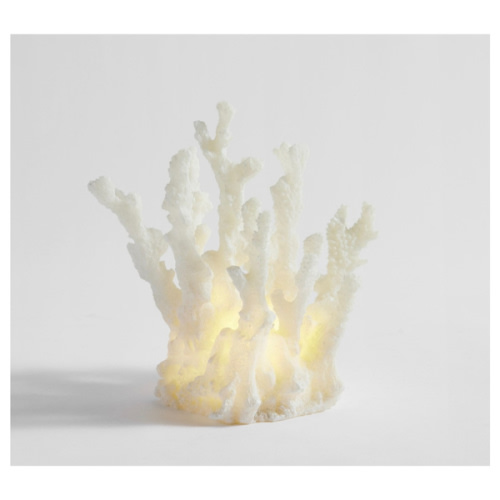 Lit Coastal Objects | Pottery Barn