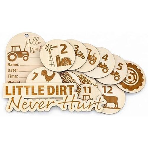 SM Design Baby Milestone Markers Set of 12 + Birth Announcement Sign | Monthly Baby Photo Props | First Year Milestones | Nursery Wall Decor | Hobby Theme (Farm)