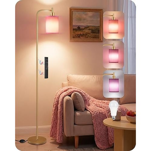 Dimmable Floor Lamp for Living Room with Remote and Foot Switch, Modern Standing, Corner Lamp,10W Bulb 3 Color Temperatures, for Bedroom, Office, Corner, ETL Listed, Gold and Pink DP19LD05