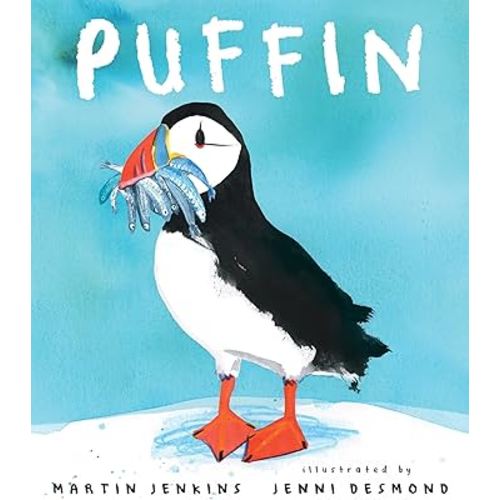 Puffin