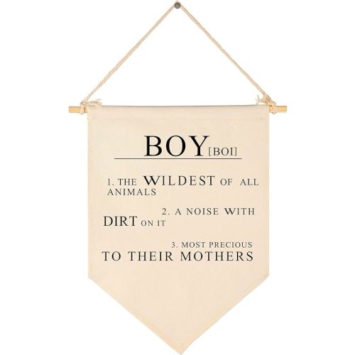 Boy The Wildest of All Animals,A Noise with Dirt On It-Canvas Hanging Pennant Flag Wall Sign Decor Gift for Baby Kids Nursery,Kids Room Playroom Decor- Boy's Pronunciation and Definition Meaning