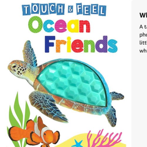 Ocean Friends - Touch and Feel Board Book - Sensory Board Book