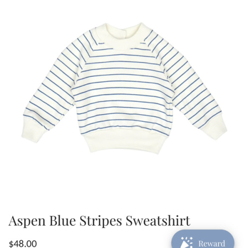 Aspen Blue Stripes Sweatshirt