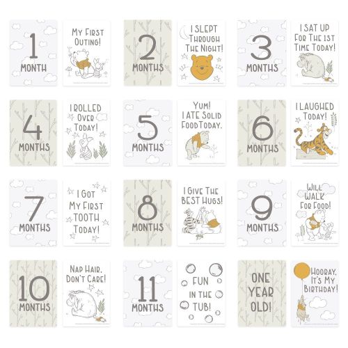 Disney Milestone Cards Winnie's Woodland