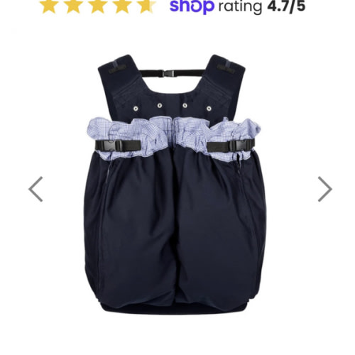 The Weego TWIN Baby Carrier