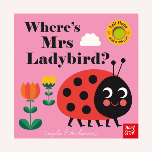 Where's Mrs Ladybird