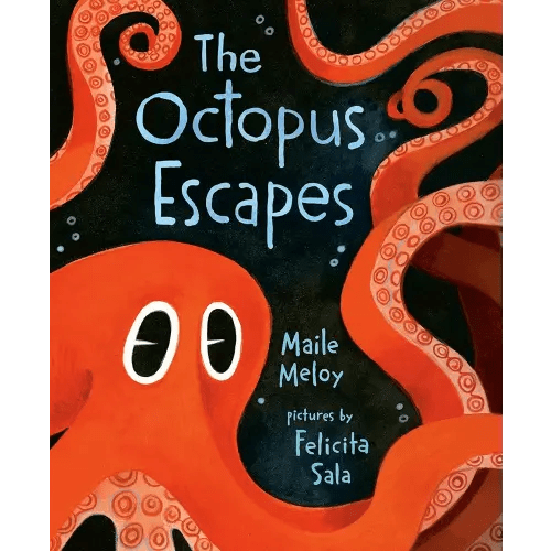 The Octopus Escapes